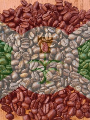 CAFÉ BURUNDI RUGABANO - RUVUBU