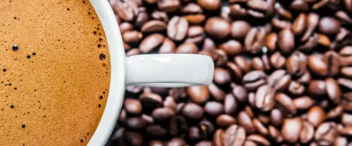 Granos de café tostado de alta calidad — beneficios del café Asuca