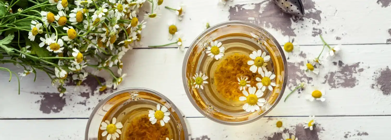 hierbas para dormir como manzanilla lavanda melisa y valeriana