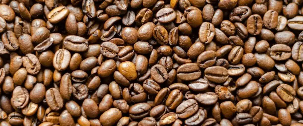 países productores de café