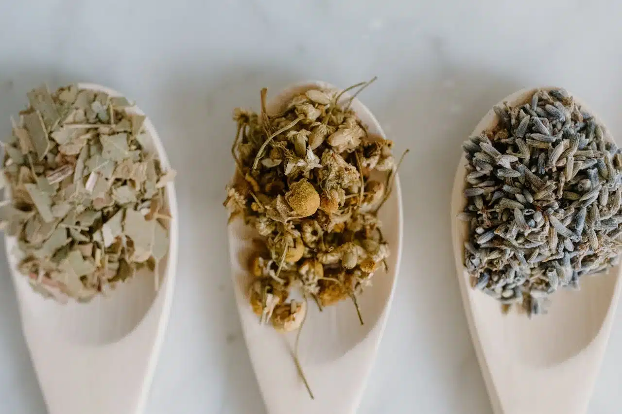 Plantas medicinales relajantes: valeriana, pasiflora, melisa y lavanda