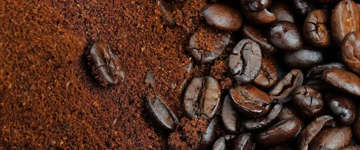 Producción del café